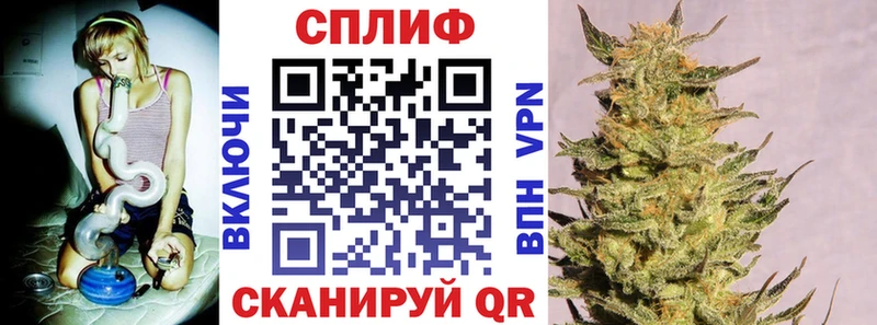 Конопля SATIVA & INDICA  Купить закладки  Шадринск 